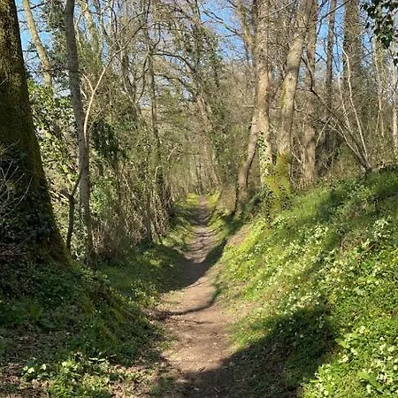 Les 3 Rois By Yy 호텔