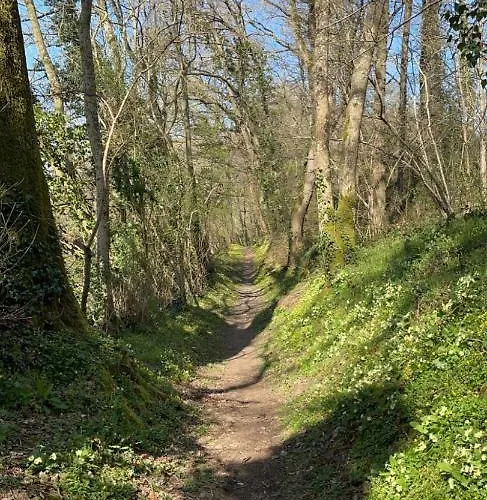 Les 3 Rois By Yy Hotel